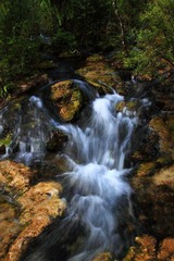 IMG_8379.jpg