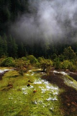 IMG_8382.jpg