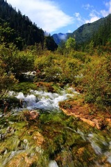 IMG_8385.jpg