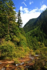 IMG_8387.jpg