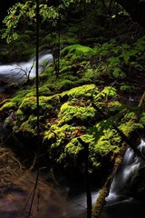 IMG_8397.jpg