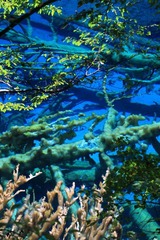 IMG_8436.jpg