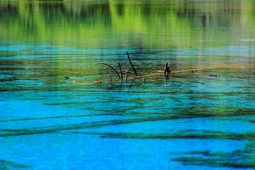 IMG_8468.jpg