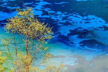 IMG_8482.jpg
