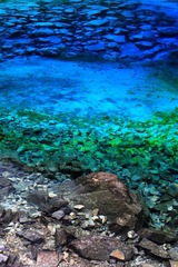 IMG_8504.jpg
