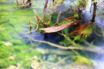 IMG_8558.jpg