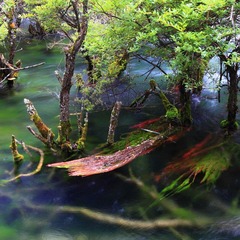 IMG_8560.jpg