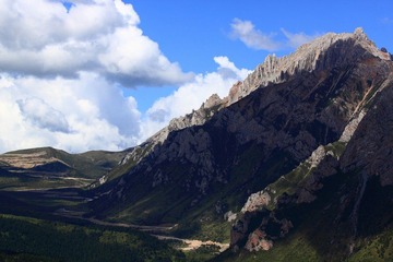 IMG_8562.jpg