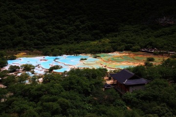 IMG_8646.jpg