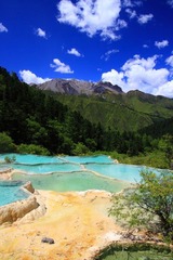 IMG_8665.jpg