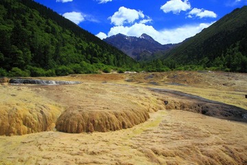 IMG_8667.jpg