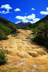 IMG_8673.jpg