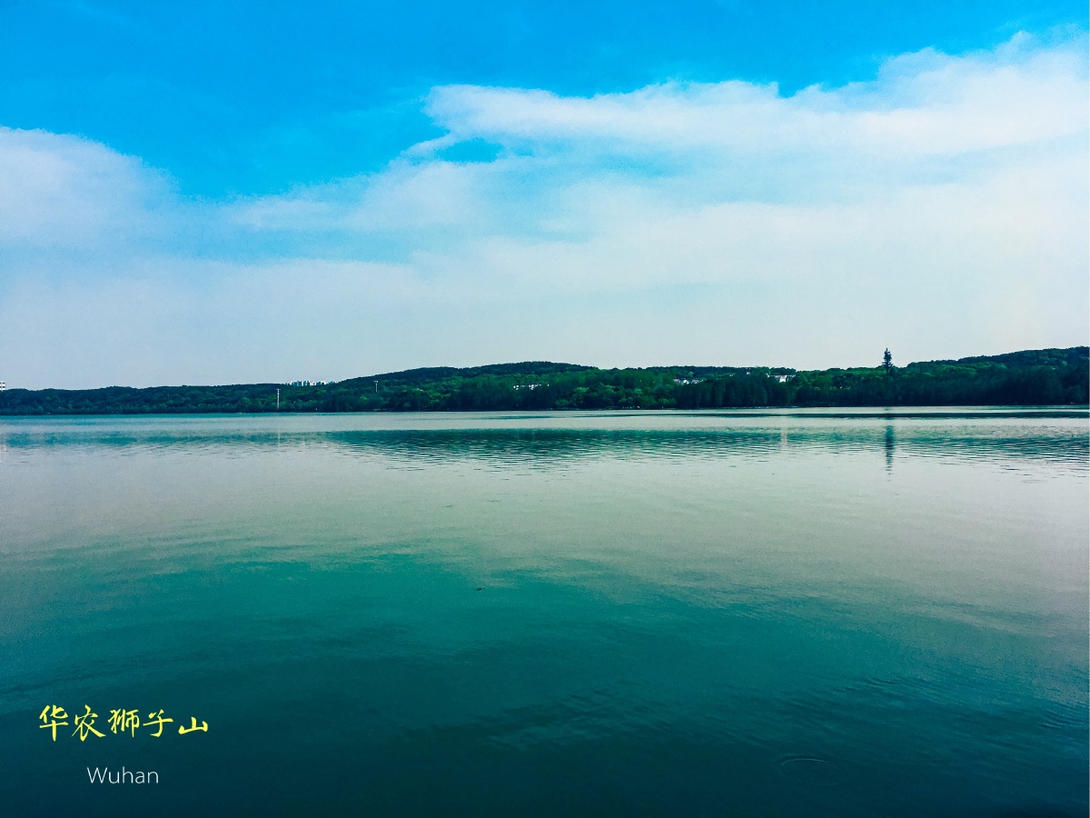 水天相接处的华农狮子山