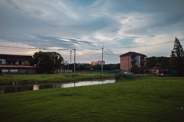 1000026535