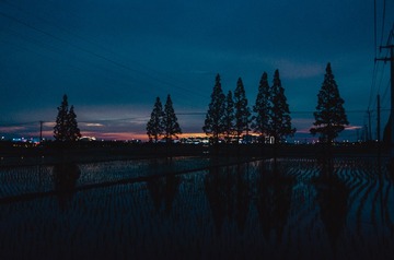 1000026540