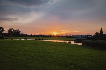 1000026536