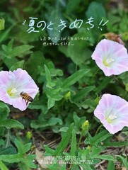 894AF44B-2A2A-4197-80B3-E84DC39CC780/L0/001