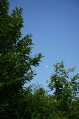 6BD95F38-6F9D-4435-ABA2-A8EF6546B8E0/L0/001