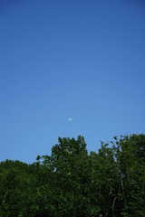 E61DF165-C389-4DE5-B1E1-BF2DFC2B7246/L0/001