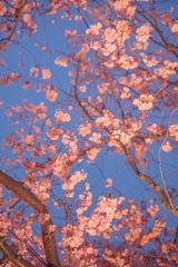 8E1EA3A3-374F-4D86-B3DA-6B7C9945BB42/L0/001
