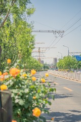 A074DA08-0C7C-4CF4-AFC4-66B1E4CD723A/L0/001