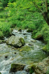 AA6E9E18-6D93-40AB-A0A8-23F2C6C9EF0E/L0/001