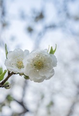 A5745119-BA06-4CB4-A1F1-3504797D83B4/L0/001