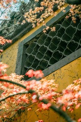 FCBDB277-D5B5-44DF-931D-5C0F3D60E021/L0/001