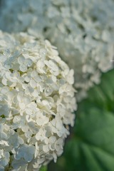 6D88AB0A-2C44-4FC0-94F7-F7002F0FF91A/L0/001