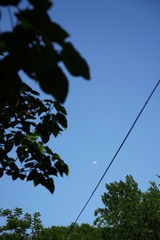 44585AA9-497A-4E3B-B777-1A481162C135/L0/001