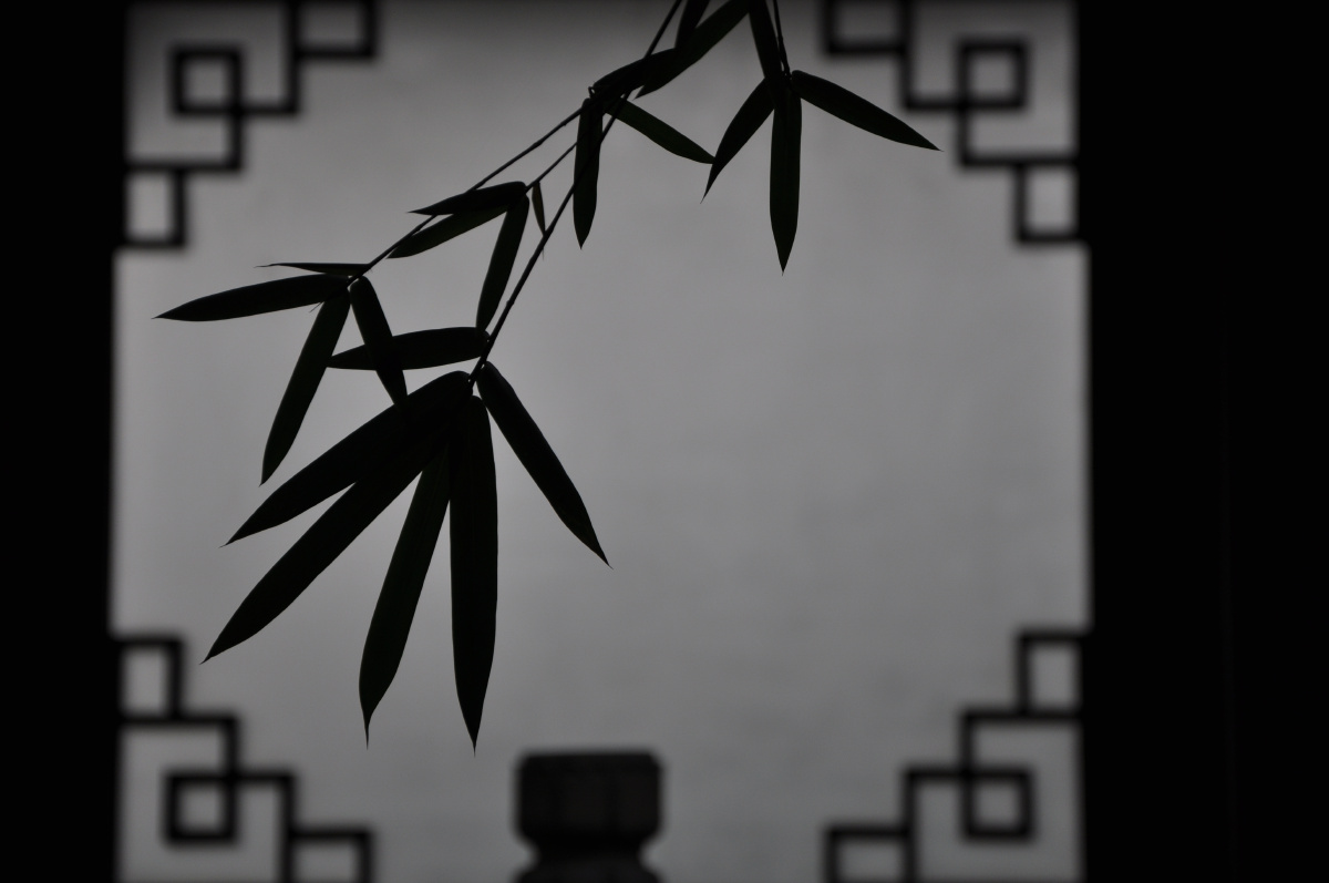禅窗竹影