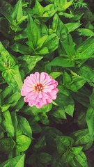 C360_2015-05-31-14-50-33-459