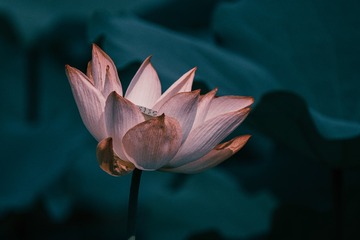 1000017878