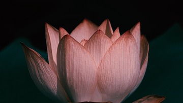 1000017880
