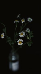 67F99B6A-6E8B-402C-8C4A-2CC0DEA3AD0B/L0/001