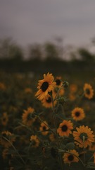 B61465B9-1F0F-44F7-B3B0-D082783AD5F9/L0/001