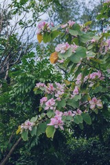 9CCD4517-080B-47CF-B6F3-F4CCF3697435/L0/001
