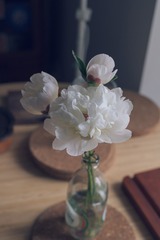 87637F6B-20B5-45C1-B885-D61EF7513E40/L0/001