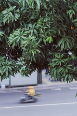 720A2C00-8FC0-404A-B8EA-7E759F548627/L0/001