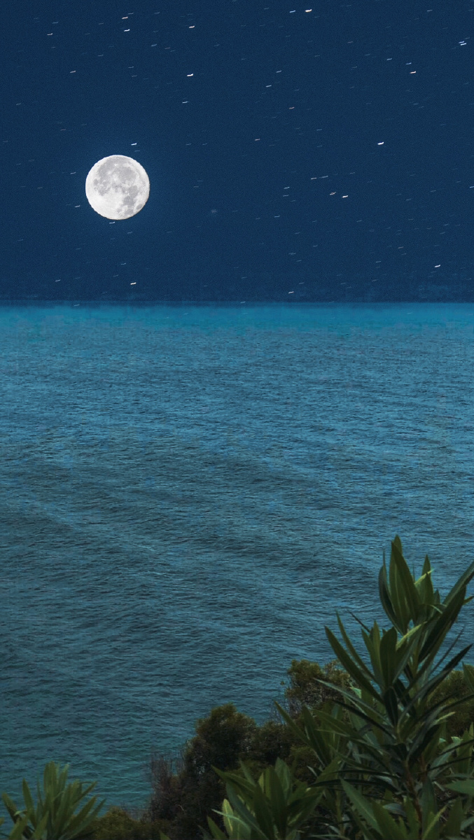 海上明月共潮生滟滟随波千万里