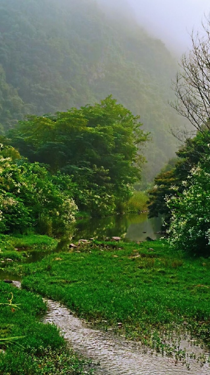 空山新雨后天气晚来秋明月松间照清泉石上流