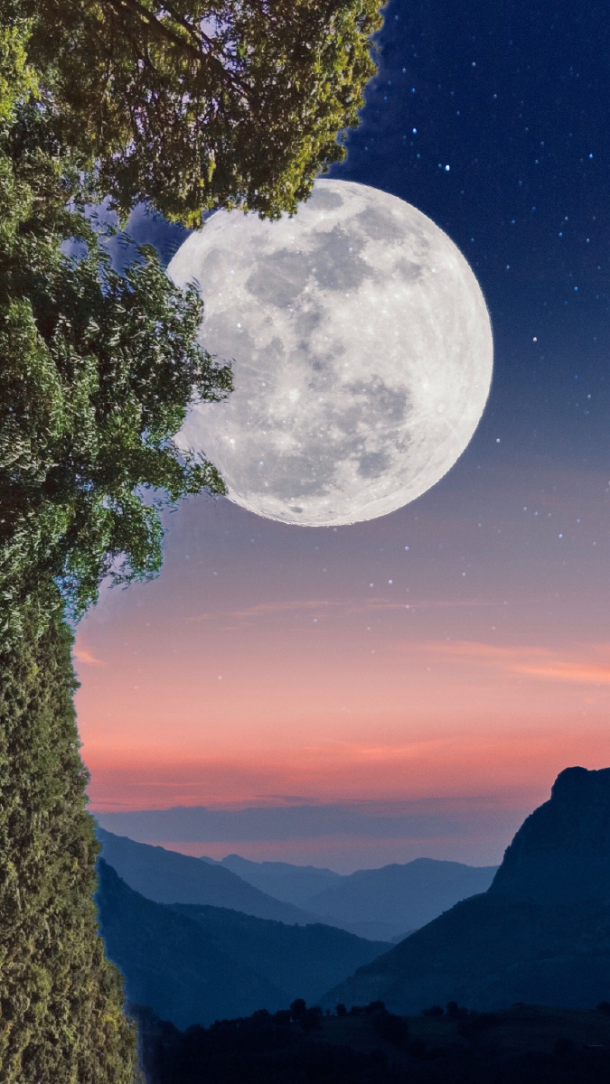 月上柳梢头人约黄昏后