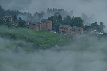 0221C8F2-57CF-4C03-9070-334C9B0C951E/L0/001