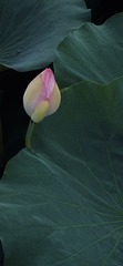 54B29592-0F6D-40D6-B569-91405D60D610/L0/001