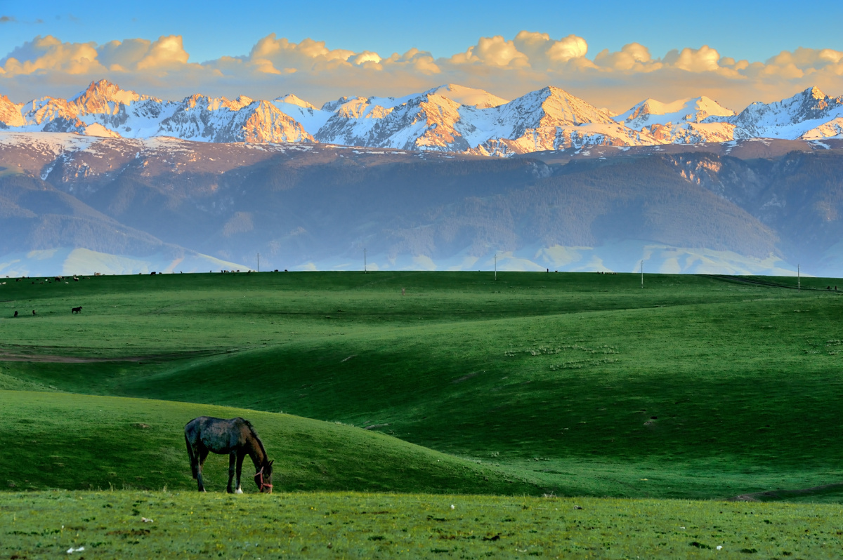 寂静的天山草原