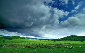 DSC_1053.jpg-2_