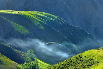 山中有人家