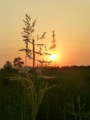 1206071