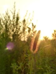 1206075