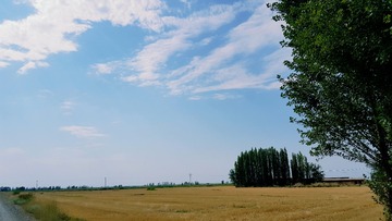 18092